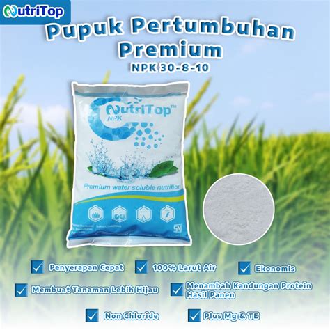 Jual Pupuk Pertumbuhan Premium Npk Ws Nutritop Kg Shopee