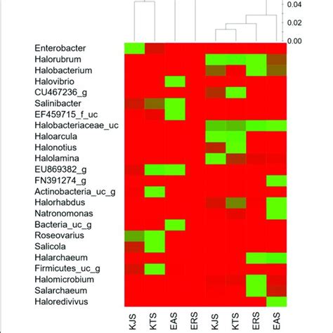 Heat Map Showing The Relative Abundances And Distribution Of