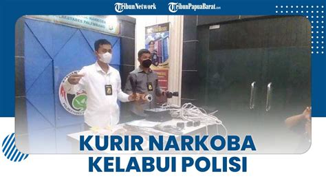 Coba Kelabui Polisi Saat Ditangkap Kurir Narkoba Ini Sembunyi Di Rawa