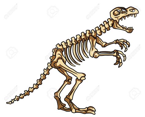 clipart dinosaur skeleton 10 free Cliparts | Download images on ...