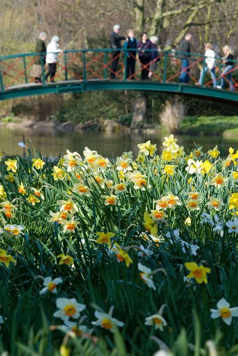 Chippenham Park Gardens - Discover Newmarket - Discover Newmarket