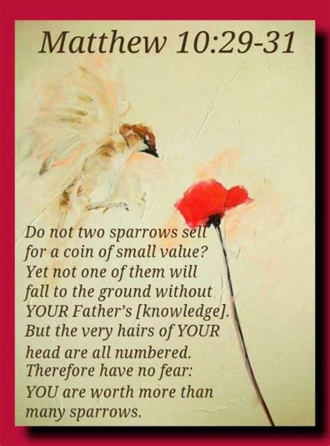 Matthew 10 29 31 You Are Worth More Than Many Sparrows Inspirational