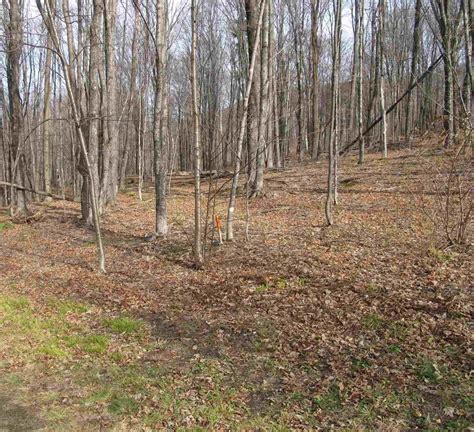 H 7 Orchard Rd Lot 3 Warren Vt 05674 Mls 4837858 Redfin