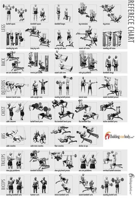 Bodybuilding Workout Chart With Pictures Pdf | EOUA Blog