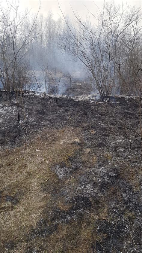 Turbigo Incendio Nei Boschi Del Ticino Distrutti Mila Metri Quadrati