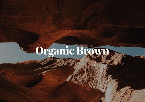 organic brown brand identity behance