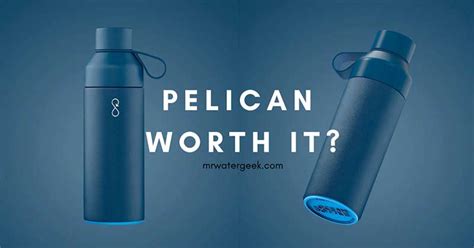 The Biggest PROBLEM With Pentair Pelican Water