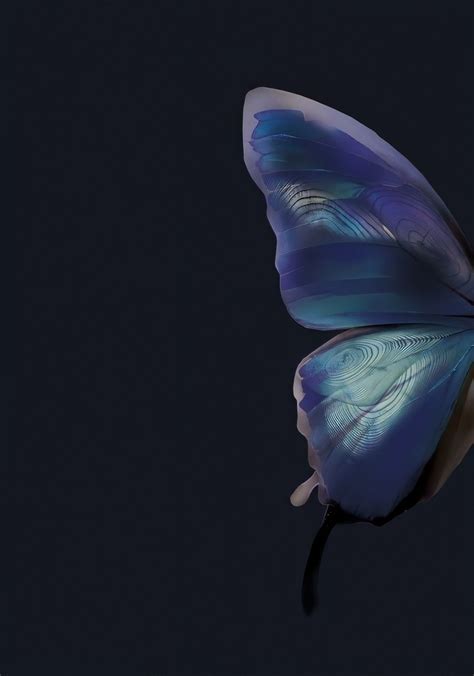 Blue Butterfly Wallpaper, Butterfly Background, Pastel Wallpaper, Butterfly Art, Blue Wallpapers ...