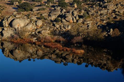 Reflejos de Roquedales - Tokisart