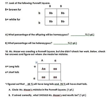 Punnett Square Test With Answer Key Study Guide With Key By The