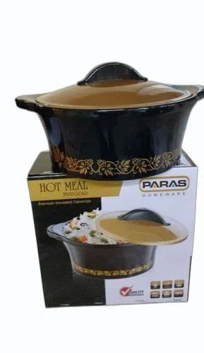 Plastic Hot Pot Insulated Casseroles Capacity Ml At Piece In Indore