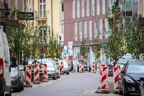 Ofensywa roślinna w Sosnowcu W mieście przybędzie 1000 drzew w nieco