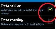 Cara Mengatasi Paket Data Celuler Internet Tidak Muncul Call Center