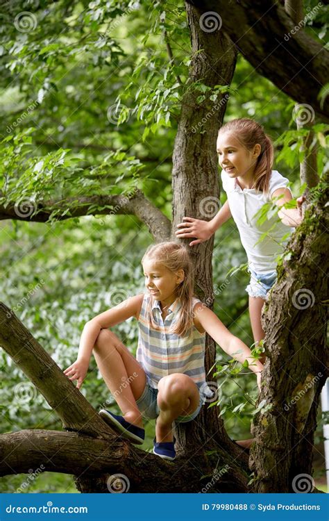 Two Happy Girls Climbing Up Tree In Summer Park Stock Photo Image Of