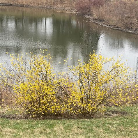 Arlington Cub Apartments (@arlingtonclubapartments) • Instagram photos