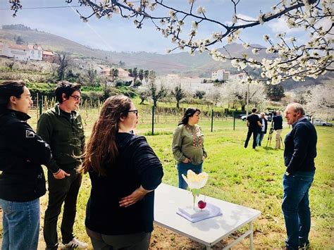 Jornadas Técnicas Cultivar Polinização E Polinizadores Em Fruteiras