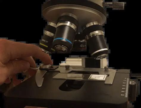 pétalo cerrar Impulso stage clip microscope Incorrecto Conquista ...