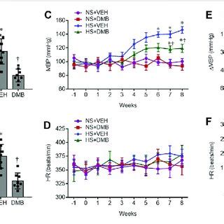 Levels Of Trimethylamine N Oxide TMAO In Plasma A And