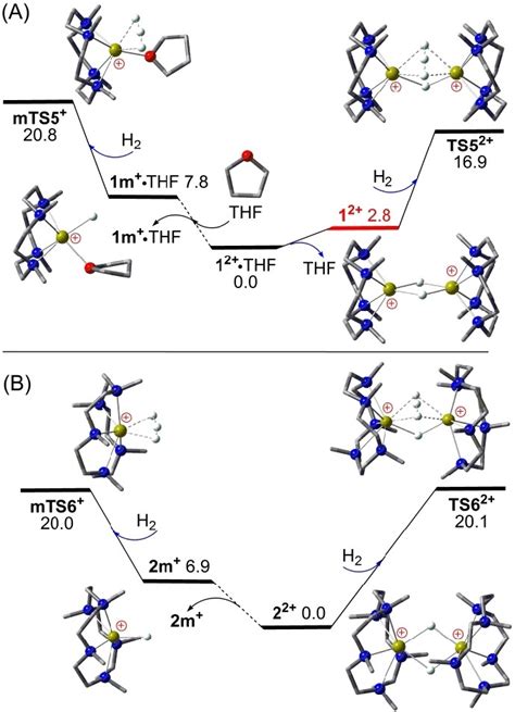 Comparison Of Dft Computed Free Energy Profiles In Kcal Mol At