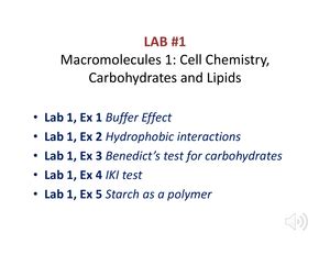 Lab Cells And Microscope Lab Worksheet Cells And Microscope