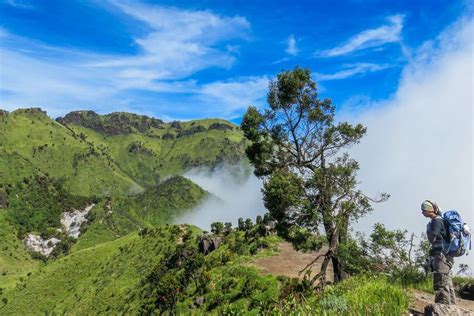 Foto Pendakian Gunung Merbabu Via Thekelan Buka Lagi Oktober