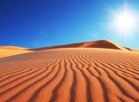 8 Fotos de Sahara