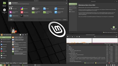 Linux Mint Ulyssa Dition Cinnamon Mate Et Xfce