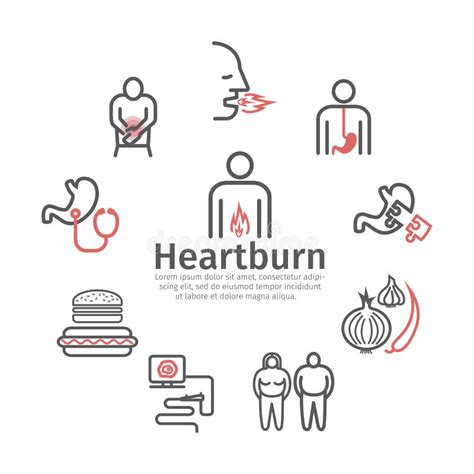 Heartburn Symptoms Treatment Line Icons Set Vector Signs For Web