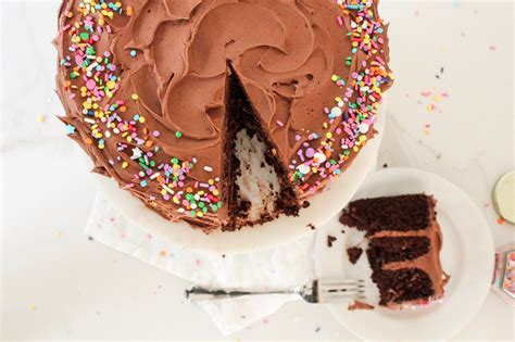 The BEST Double Chocolate Birthday Cake With Sprinkles Cake Sprinkle