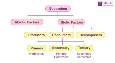 Ecosystem Structure Functions Units And Types Of Ecosystem