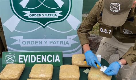 Carabineros Incauta Droga Avaluada En 164 Millones De Pesos En Ruta