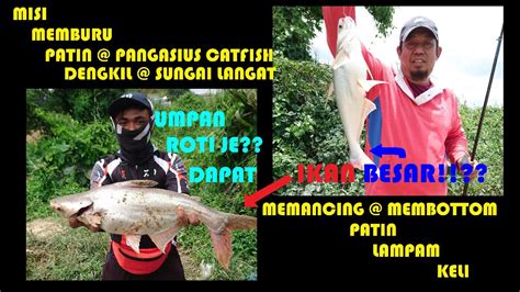 Memancing Patin Lampam Keli Dengkil Ikan Besar Makan Roti Je