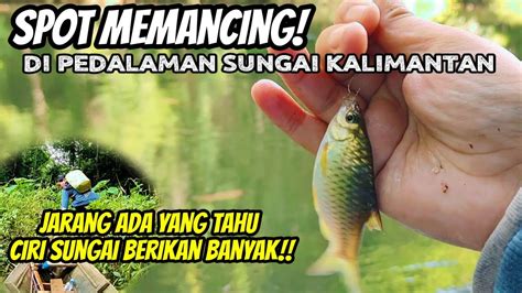 Mancing Mania Di Sungai Pedalaman Hutan Kalimantan Tengah Indonesia