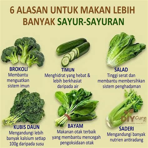 6 SAYURAN SIHAT UNTUK DIMAKAN – Persatuan Pengguna Penang