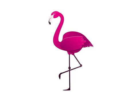 Pink Flamingoa Stylish And Delightful Exotic Bird A Decorative Flat Design Vector Illustration