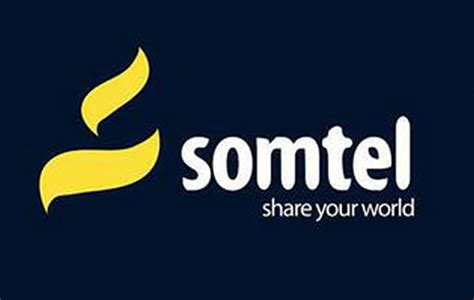 Somtel’s Initial Public Offering