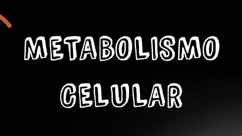 Metabolismo Celular By Grupo Trabajo On Prezi