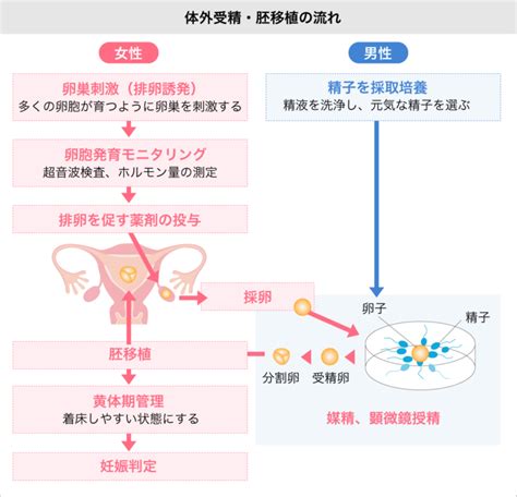 人工授精・体外受精 和歌山｜不妊治療奥村レディースクリニック