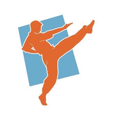 Silhouette Of A Male Martial Art Practitioner Doing Some Action Kick Pose Silhouette Of A Man