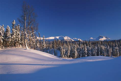 Chugach Mountains Anchorage Photograph by Jeff Schultz