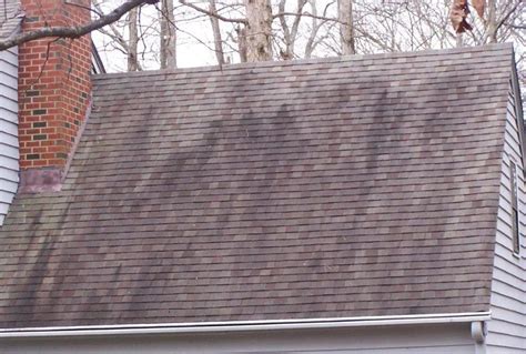 What Are The Dark Streaks On My Roof Joyland Roofing