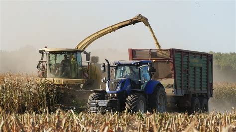 Koszenie Kukurydzy Na Kiszonkę z UR PIOTROWSKI Zgrana Ekipa w Akcji