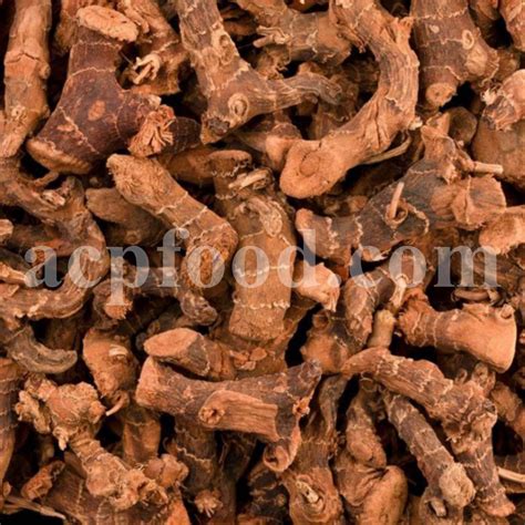 Buy Greater Galangal Root Bulk Alpinia Galanga Khulanjan