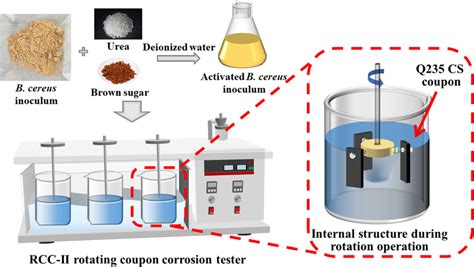 Schematic Illustration Of The Biocorrosion Experiment Platform