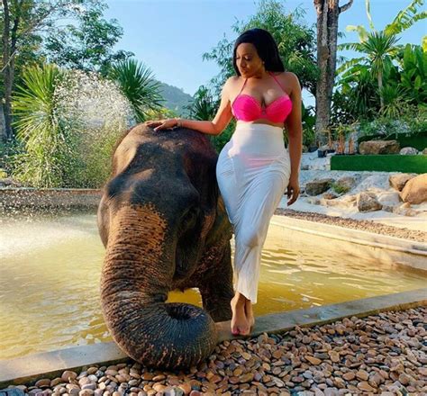 Chika Ike Rocks Pink Bikini Pictured With An Elephant At Pool Side