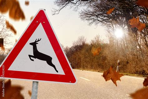 Verkehrsschild Straßenschild warnt vor Wildwechsel Wildunfällen Gefahr