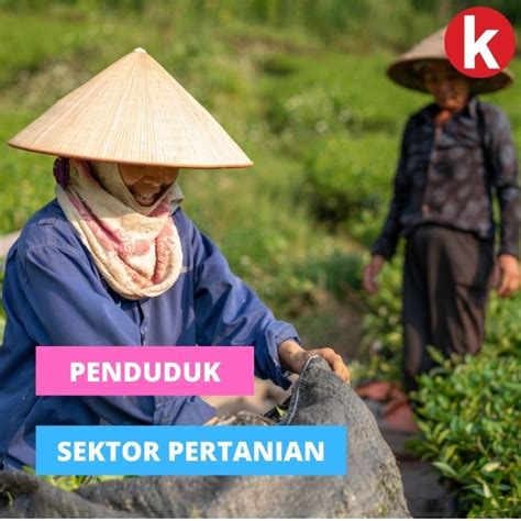 penduduk  sektor pertanian  indonesia bisnis