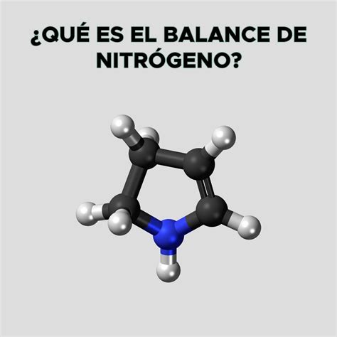 EL BALANCE DE NITRÓGENO Fitness Electronic products