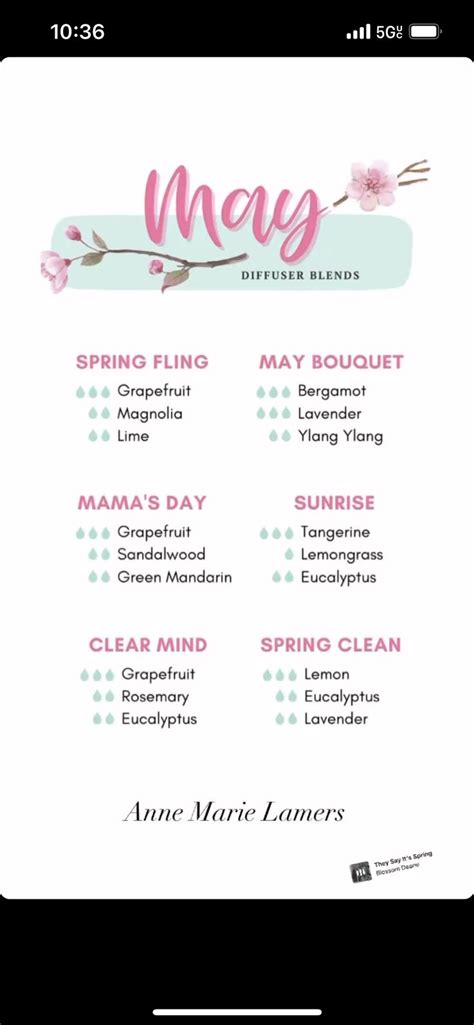 Pin By Megan Martire On Essential Oils Essential Oil Diffuser Blends