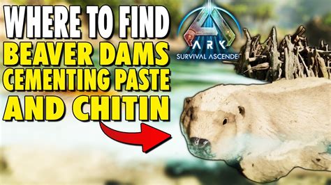 WHERE TO FIND CEMENTING PASTE BEAVER DAMS CHITIN IN ARK SURVIVAL